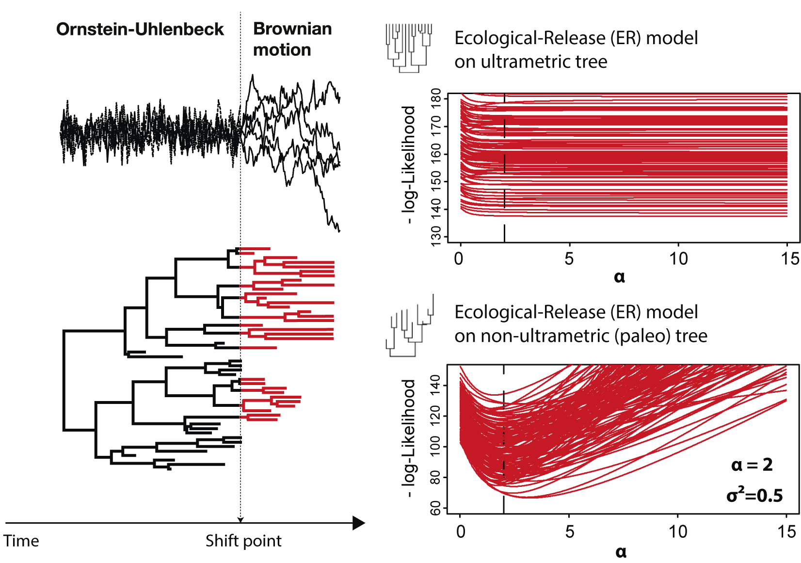 Evolutionary Analysis